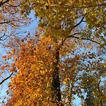 De Vallei Bed & Breakfast Heelsum