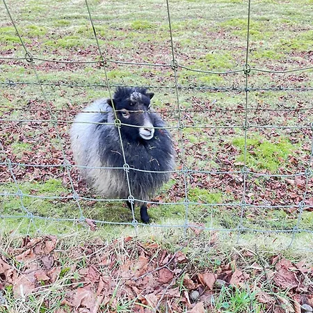 Bed & Breakfast De Vallei Heelsum