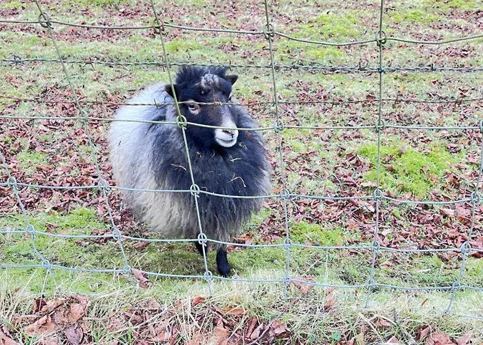 Bed & Breakfast De Vallei Heelsum