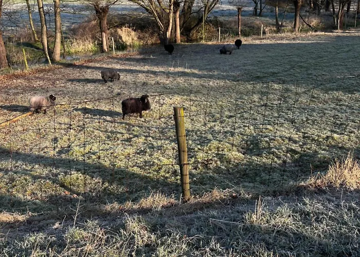 De Vallei Bed & Breakfast Heelsum