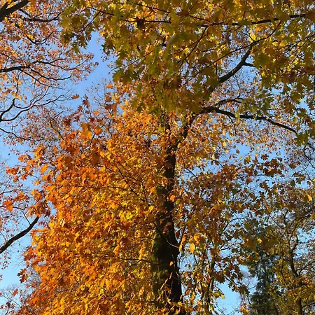 De Vallei Bed & Breakfast Heelsum