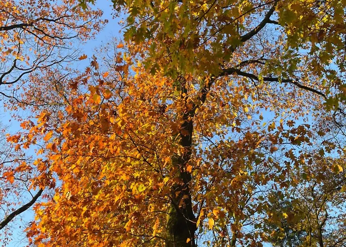 De Vallei 住宿加早餐酒店 赫尔桑姆