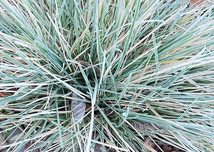 住宿加早餐酒店 De Vallei 赫尔桑姆